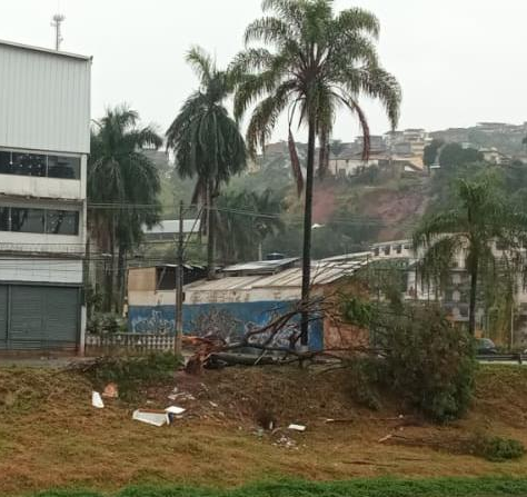 Chuva forte provoca rajadas de vento e falta de energia em Juiz de Fora