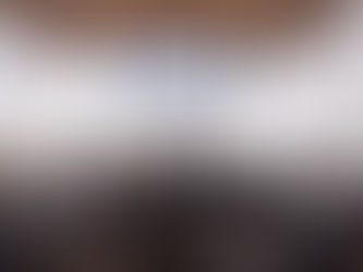 Vereadores aprovam PL da Lei de Diretrizes Orçamentárias para 2026 no valor de mais de R$ 4,2 bilhões