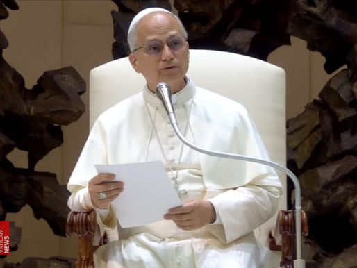 Leão XIV na Audiência Geral: 'perdoar não é negar o mal, mas vencer com o amor'