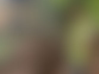 Autoridades eclesiásticas manifestam solidariedade às vítimas das chuvas em JF