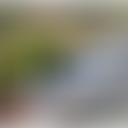 BR-040: concessionária espera aumento de 23% no fluxo de veículos no trecho entre JF e BH no feriado da Semana Santa