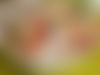 Salada de Macarrão com Legumes e Frios