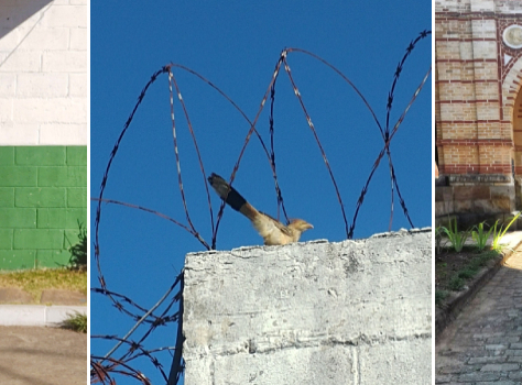 Adolescentes do Centro Socioeducativo mostram o mundo através das lentes no Festicid