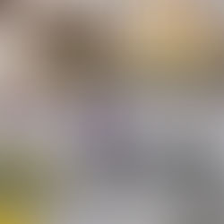 'Uma responsabilidade que assumo com muita alegria no coração', diz Dom Marco Aurélio Gubiotti, Arcebispo de Juiz de Fora