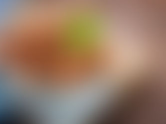 Almôndegas de Frango