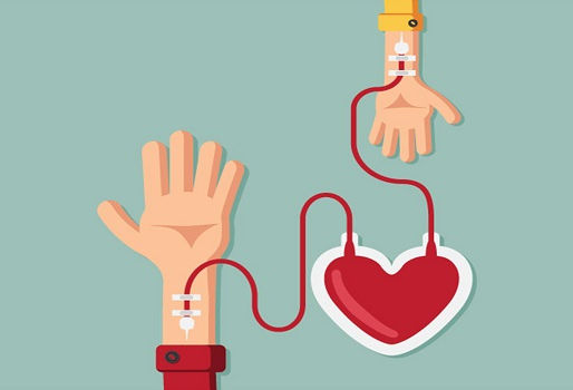 25/11: Dia do Doador Voluntário de Sangue, um ato que salva vidas