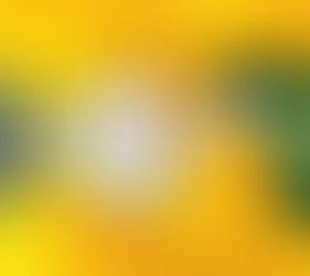 Papa Leão XIV: o papel da Igreja é ser luz, um farol de esperança para as nações