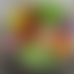 Digestive Health Optimization: Your Guide to a Healthy Gut