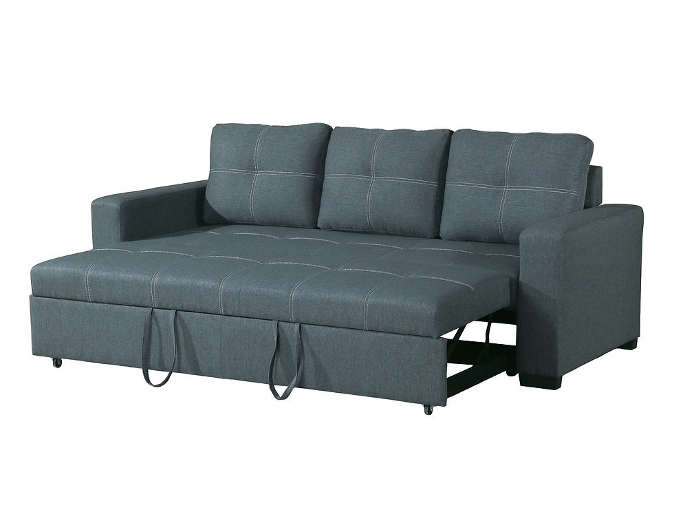 Thumbnail: Convertible Sofa