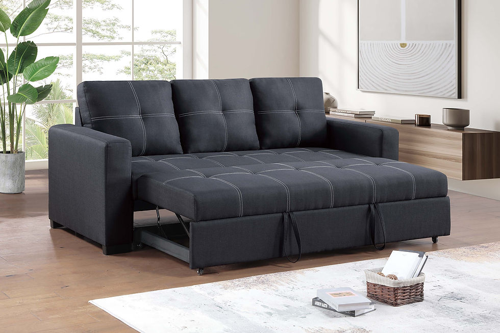 Thumbnail: Convertible Sofa