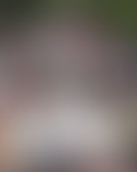 Segunda etapa da recomposição salarial, conquistada a partir da Greve Docente Federal de 2024, será implementada a partir de abril