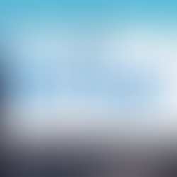 Un balance de resiliencia y visión: Nuestro camino hacia el nuevo año