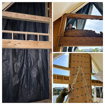 TERMITE DAMAGE SANIBEL (1).jpg