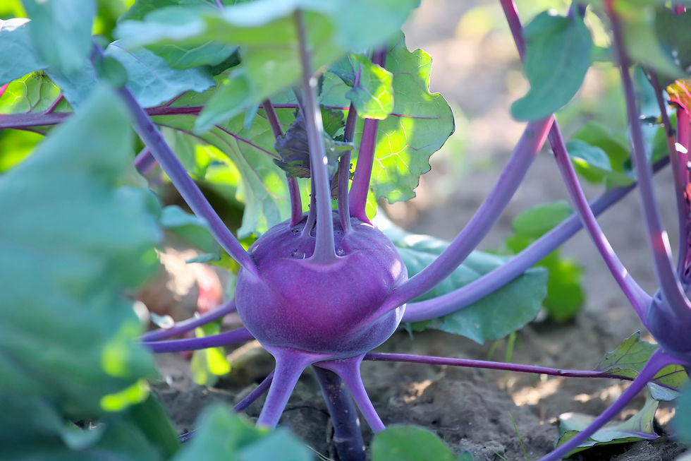 Moving On, Letting Go