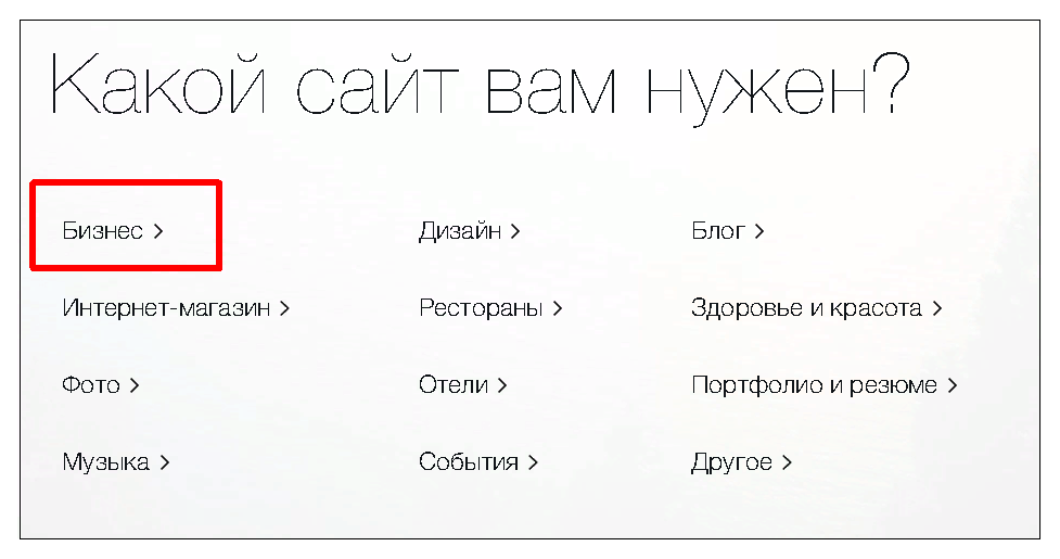 Выбор направления и вида деятельности для сайта