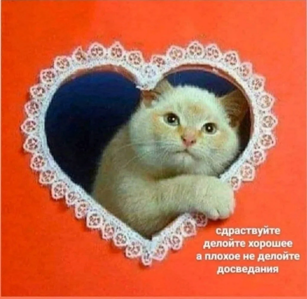 Когда заказчик не хочет и не может сформировать техническое задание копирайтеру