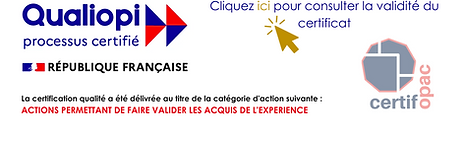 logo VAE avec certificateur.png