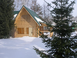 Перезимовал