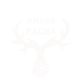 Anima Pacha