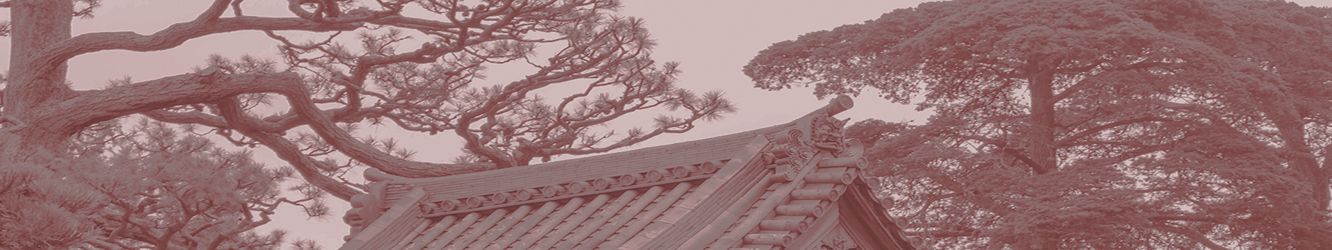 bushido_oberkirch_web_banner_02_oben_3.png