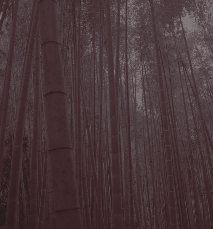 bushido_oberkirch_web_banner_07_edited_e