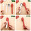 الصورة المصغرة: Utensils set Silicone Case - ادوات طعام مع حافظة سيليكون