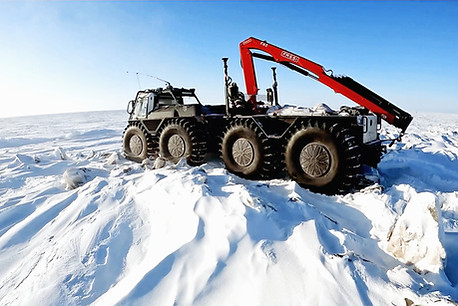8x8-arctic-3_edited.jpg