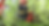 300E NTP10.png