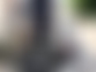 ブログ更新しました！