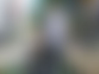 ブログ更新しました!