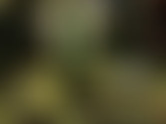 ブログ更新しました！