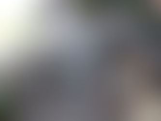 ブログ更新しました！