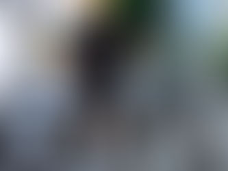 ブログ更新しました！