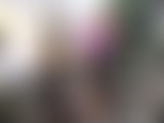 ブログ更新しました！