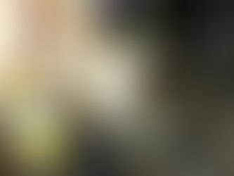 ブログ更新しました!