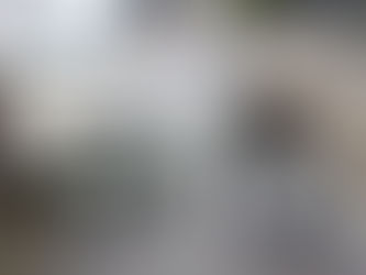 ブログ更新しました!