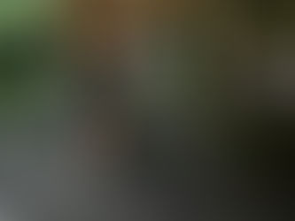 ブログ更新しました！