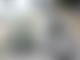 ブログ更新しました！