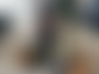 ブログ更新しました!