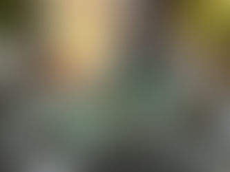 ブログ更新しました!