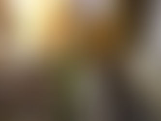 ブログ更新しました！