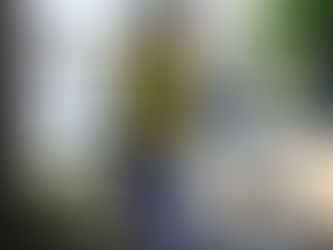 ブログ更新しました!