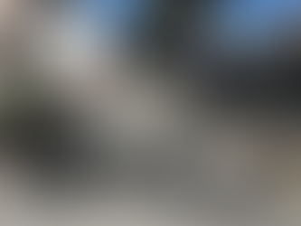 レインボー パインライン※即納可能