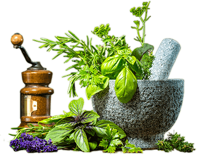 https www back2naturehealthfoodthailand com buy ayurvedic medicinal https www back2naturehealthfoodthailand com buy ayurvedic medicinal