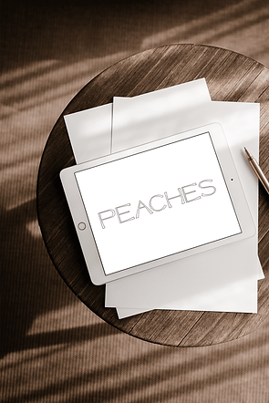 AlicanteMockup14.png