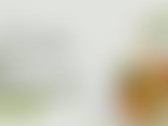 Quick and Easy Lunch Ideas: Delicious and Nutritious Meals with Authentic Bite