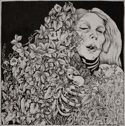 The Fire. Study of entropy 3