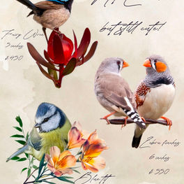 Realism Bird Flash Tattoos