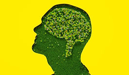 FJ&B Sustainability Initiative Morning: Exploring Sustainable MEP Solutions