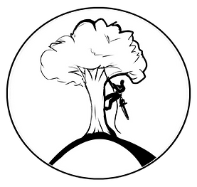 transparent background
